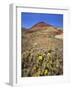 Painted Hills National Monument-Steve Terrill-Framed Photographic Print