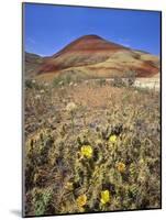 Painted Hills National Monument-Steve Terrill-Mounted Photographic Print