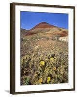 Painted Hills National Monument-Steve Terrill-Framed Photographic Print