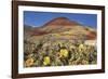 Painted Hills National Monument-Steve Terrill-Framed Photographic Print