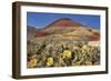 Painted Hills National Monument-Steve Terrill-Framed Photographic Print