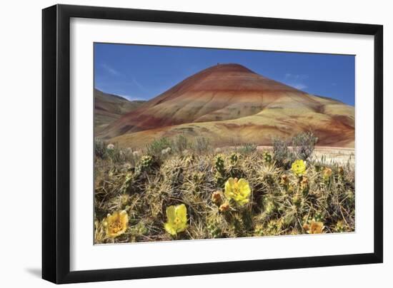 Painted Hills National Monument-Steve Terrill-Framed Photographic Print