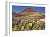 Painted Hills National Monument-Steve Terrill-Framed Photographic Print