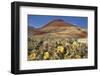 Painted Hills National Monument-Steve Terrill-Framed Photographic Print