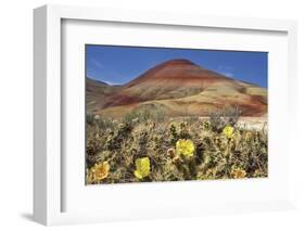 Painted Hills National Monument-Steve Terrill-Framed Photographic Print