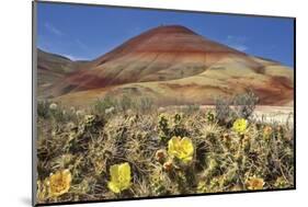 Painted Hills National Monument-Steve Terrill-Mounted Photographic Print