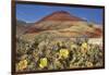 Painted Hills National Monument-Steve Terrill-Framed Photographic Print