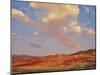 Painted Hills National Monument-Steve Terrill-Mounted Photographic Print