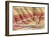 Painted Hills Unit 3-Don Paulson-Framed Giclee Print