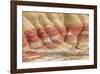 Painted Hills Unit 3-Don Paulson-Framed Giclee Print