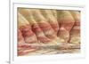 Painted Hills Unit 3-Don Paulson-Framed Giclee Print