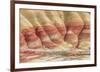 Painted Hills Unit 3-Don Paulson-Framed Giclee Print