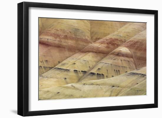 Painted Hills Unit 4-Don Paulson-Framed Giclee Print