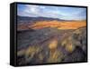 Painted Hills Unit, John Day Fossil Beds National Monument, Oregon, USA-Brent Bergherm-Framed Stretched Canvas