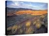 Painted Hills Unit, John Day Fossil Beds National Monument, Oregon, USA-Brent Bergherm-Stretched Canvas