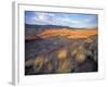 Painted Hills Unit, John Day Fossil Beds National Monument, Oregon, USA-Brent Bergherm-Framed Photographic Print