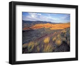 Painted Hills Unit, John Day Fossil Beds National Monument, Oregon, USA-Brent Bergherm-Framed Photographic Print