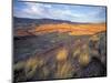 Painted Hills Unit, John Day Fossil Beds National Monument, Oregon, USA-Brent Bergherm-Mounted Photographic Print