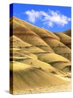 Painted Hills Unit, John Day Fossil Beds National Monument, Oregon-Howie Garber-Stretched Canvas