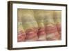 Painted Hills Unit-Don Paulson-Framed Giclee Print