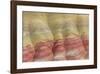 Painted Hills Unit-Don Paulson-Framed Giclee Print