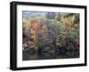 Painted Hillside-J.D. Mcfarlan-Framed Photographic Print