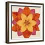 Painted Jewel 5-Morgan Yamada-Framed Art Print