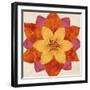 Painted Jewel 5-Morgan Yamada-Framed Art Print