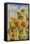 Painted Ladies and Morning Glories-Charlsie Kelly-Framed Stretched Canvas