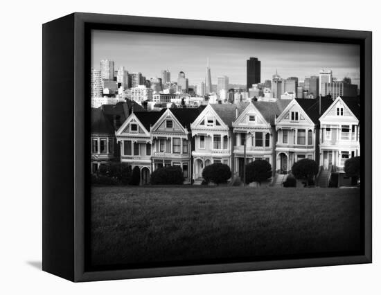 Painted Ladies Mono-John Gusky-Framed Stretched Canvas