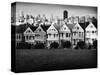 Painted Ladies Mono-John Gusky-Stretched Canvas