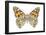 Painted Lady Butterfly - Underside (Vanessa Virginiensis), American Painted Lady, Insects-Encyclopaedia Britannica-Framed Poster