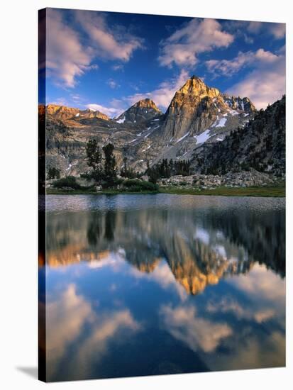 Painted Lady in Kings Canyon National Park-Ron Watts-Stretched Canvas