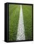 Painted Line on Athletic Field-Randy Faris-Framed Stretched Canvas