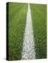 Painted Line on Athletic Field-Randy Faris-Stretched Canvas