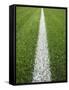 Painted Line on Athletic Field-Randy Faris-Framed Stretched Canvas