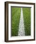 Painted Line on Athletic Field-Randy Faris-Framed Photographic Print