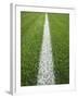 Painted Line on Athletic Field-Randy Faris-Framed Photographic Print