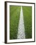 Painted Line on Athletic Field-Randy Faris-Framed Photographic Print