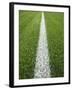 Painted Line on Athletic Field-Randy Faris-Framed Photographic Print