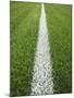 Painted Line on Athletic Field-Randy Faris-Mounted Photographic Print