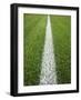 Painted Line on Athletic Field-Randy Faris-Framed Photographic Print