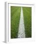 Painted Line on Athletic Field-Randy Faris-Framed Photographic Print