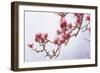 Painted Magnolias II-Chris Vest-Framed Art Print