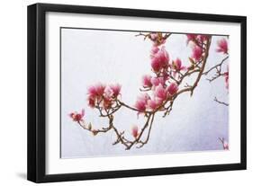 Painted Magnolias II-Chris Vest-Framed Art Print