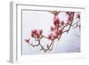 Painted Magnolias II-Chris Vest-Framed Art Print