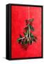 Painted Mistletoe-Treechild-Framed Stretched Canvas