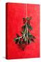 Painted Mistletoe-Treechild-Stretched Canvas