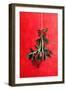 Painted Mistletoe-Treechild-Framed Giclee Print