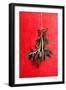 Painted Mistletoe-Treechild-Framed Giclee Print